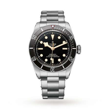 Tudor Black Bay