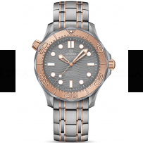 AAA Replica Omega Seamaster Diver 300M Master Co-Axial Watch 210.60.42.20.99.001