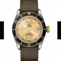 AAA Replica Tudor Black Bay S&G 41mm Mens Watch M79733N-0006
