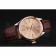 Rolex Cellini Gold Dial And Bezel Stainless Steel Case Brown Leather Strap  622840