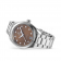 Swiss Omega Seamaster Aquaterra Co-Axial Master Chronometer 34mm O22010342063001