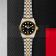 Tudor Black Bay 32 S&G