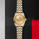 Tudor Black Bay 32 S&G