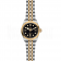 Swiss Tudor Black Bay 36 S&G