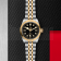 Swiss Tudor Black Bay 36 S&G
