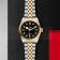 Swiss Tudor Black Bay 41 S&G