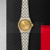 Tudor Royal Date