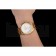 Omega Globemaster White Diak Gold Case And Bracelet