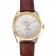 Omega Globemaster Silver Dial Gold Bezel Stainless Steel Case Brown Leather Strap