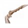 Cartier Wild Panthere Diamond Square Gold Sunglasses 307784