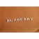 Burberry Medium Backpack Tan Nylon Black Leather Trim 18927048