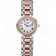 Longines PrimaLuna Stainless Steel And Gold Diamond Case  622585