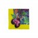 Valentino Flamingo Forest Yellow Shawl 621874