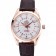 Omega Seamaster Planet Ocean GMT White Dial Rose Gold Case Brown Leather Band  622400