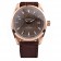 Omega Swiss Seamaster Railmaster Brown Strap Brown Striped Dial