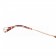 Miu Miu Square Double Frames Light Green Sunglasses 307892