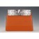 Chloe Faye Python Flap Tan Shoulder Bag