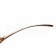 Cartier Panthere Wild de Cartier Brown Frame Sunglasses  308069