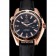Omega Seamaster Planet Ocean Ceragold Black Dial  622389